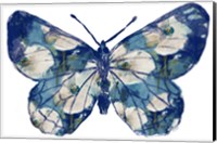 Framed Floral Indigo Butterfly