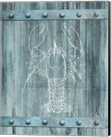 Framed White Lobster On Blue