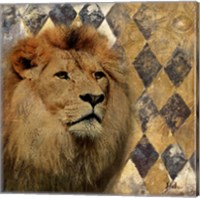 Framed 'Golden Safari IV (Lion)' border=