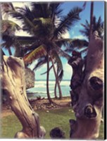 Framed Oceanside Palms
