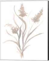 Framed 'Beige Herb I' border=