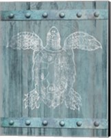 Framed White Turtle On Blue