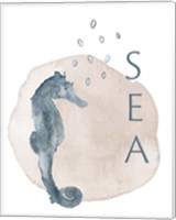 Framed Sea Seahorse