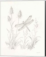 Framed Nature Sketchbook IV