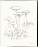 Framed Nature Sketchbook I