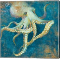 Framed Ocean Octopus