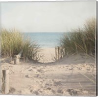 Framed Beach Grasses