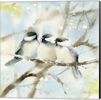 Framed Three Chickadees in Spring Sq