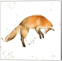 Framed Jumping Fox