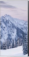 Framed Tatoosh Range Triptych II