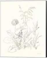 Framed Nature Sketchbook VII