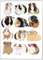 Framed Guinea Pigs In Glasses