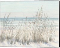 Framed Beach Grass II