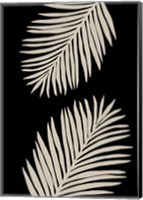 Framed Palm Leaves