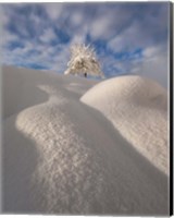 Framed Curves of a Winter Landscape