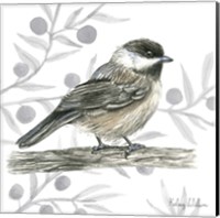 Framed Backyard Birds II-Chickadee