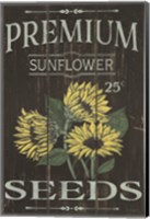 Framed Sunflower Seeds