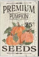 Framed Pumpkin Seeds