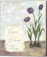 Framed Grow Bloom Thrive