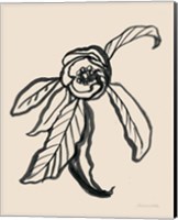 Framed Ink Sketch Flower