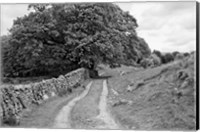 Framed Wynlass Beck