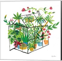 Framed 'Greenhouse Blooming V' border=