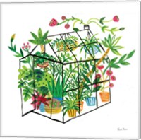 Framed Greenhouse Blooming V