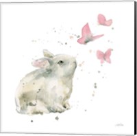 Framed 'Dreaming Bunny I' border=