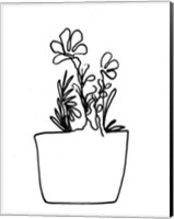 Framed Hand Sketch Flowerpot I