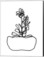 Framed Hand Sketch Flowerpot II