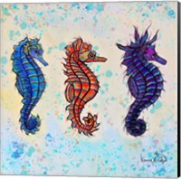 Framed Seahorses