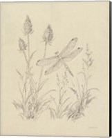 Framed Vintage Nature Sketchbook IV
