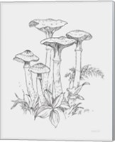 Framed 'Natures Sketchbook I Bold Light Gray' border=