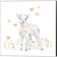 Framed 'Spring Lambs II' border=