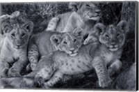 Framed Lion Cub Family