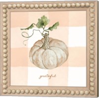 Framed 'Grateful Pumpkin' border=