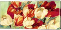 Framed Red & White Tulips