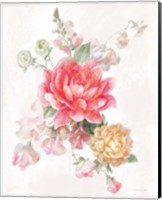 Framed 'Sorbet Floret IV' border=