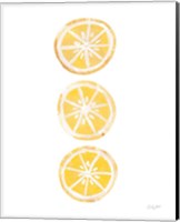 Framed 'Lemon Slices II' border=