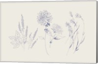 Framed Flowers on White VIII Blue