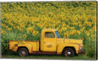 Framed Yellow Vintage Sunflower Truck