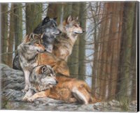 Framed Four Wolves
