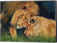 Framed Lion Love