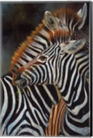 Framed Zebras