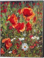 Framed Poppies