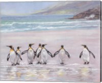 Framed 7 Penguins
