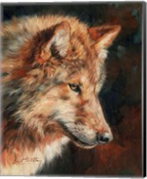 Framed Grey Wolf Portrait