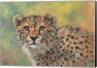 Framed Cheetah Portrait