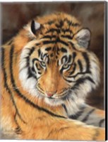 Framed Tiger 10