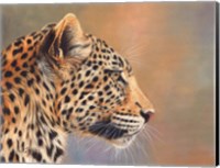 Framed Leopard Profile